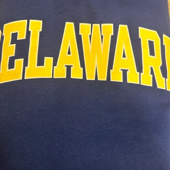 Champion University of Delaware Hoodie sz Small - Picture 2 of 11
